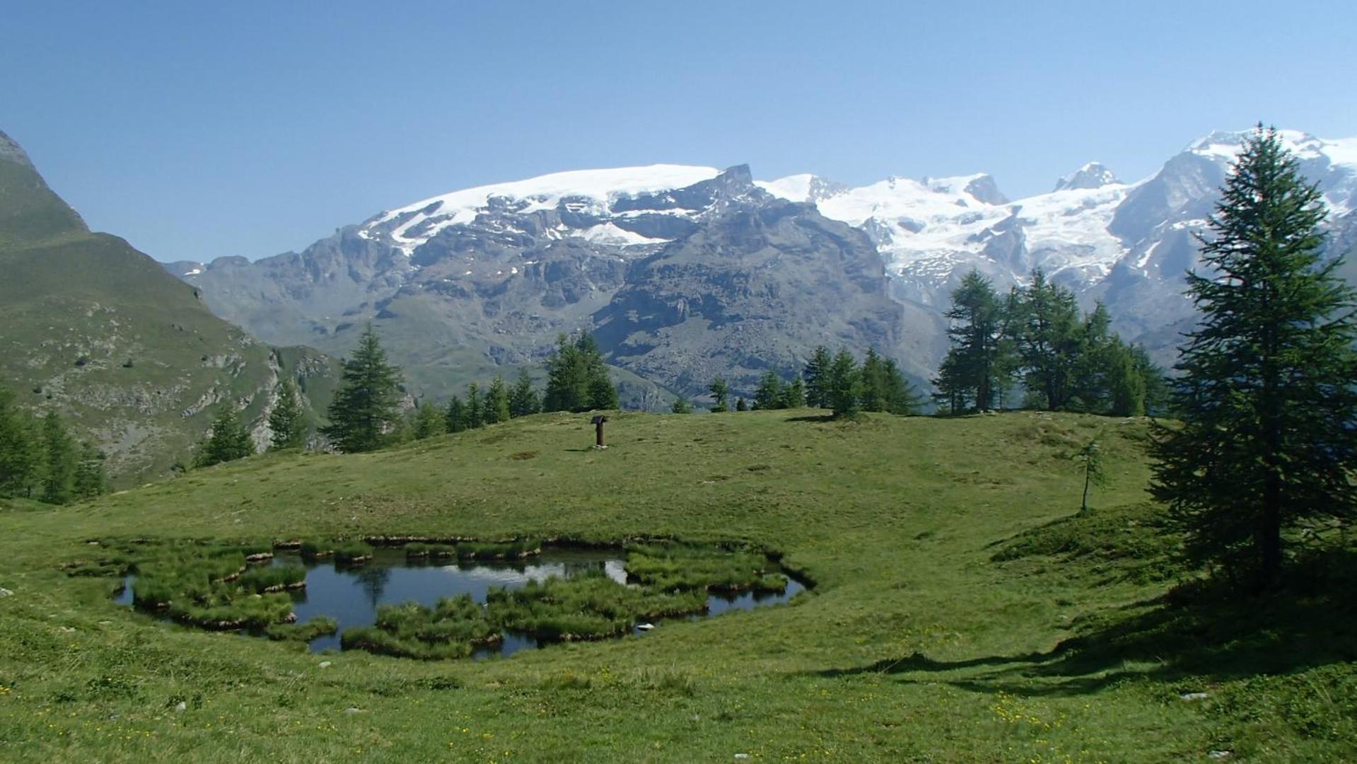 Champoluc Apartment Buitenkant foto